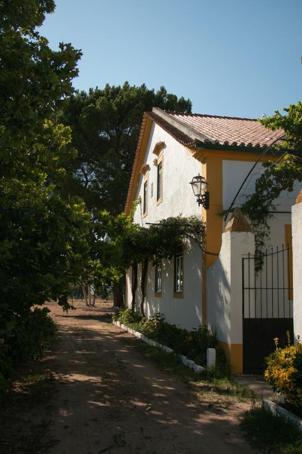 Quinta De Santana Da Varzea Abrantes Ngoại thất bức ảnh