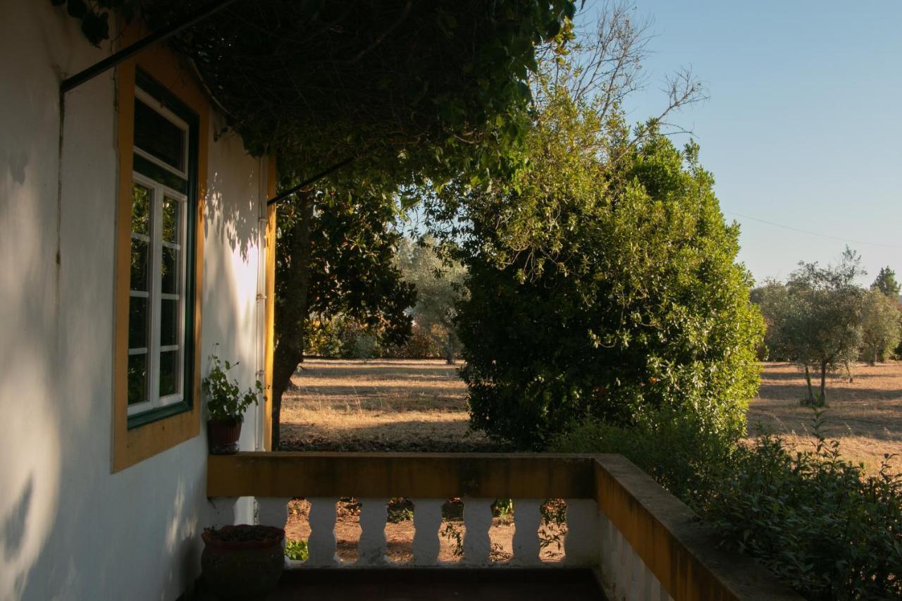 Quinta De Santana Da Varzea Abrantes Ngoại thất bức ảnh