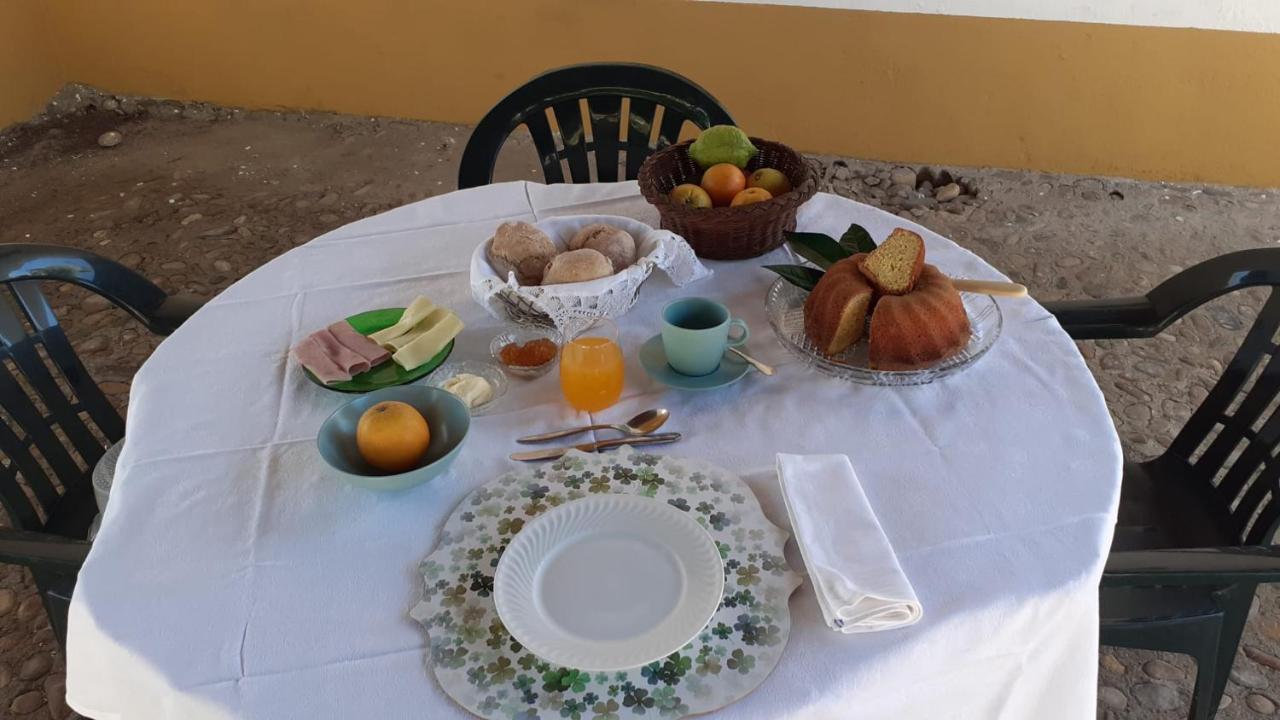 Quinta De Santana Da Varzea Abrantes Ngoại thất bức ảnh