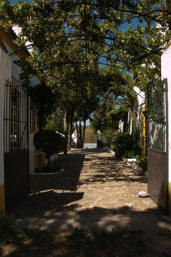 Quinta De Santana Da Varzea Abrantes Ngoại thất bức ảnh
