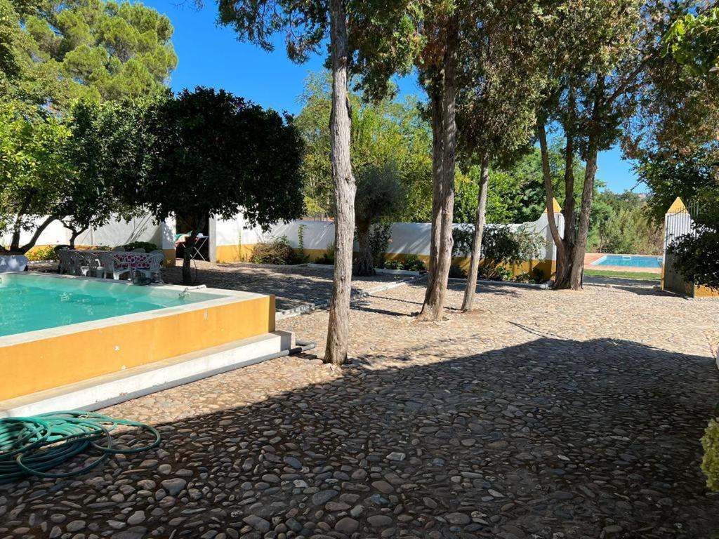 Quinta De Santana Da Varzea Abrantes Ngoại thất bức ảnh