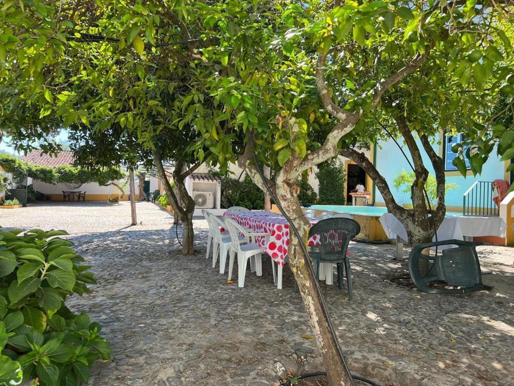 Quinta De Santana Da Varzea Abrantes Ngoại thất bức ảnh