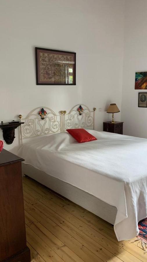 Quinta De Santana Da Varzea Abrantes Ngoại thất bức ảnh